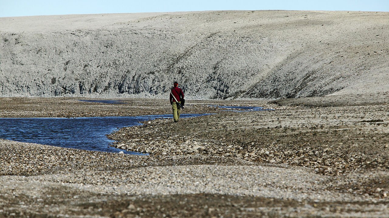 Ancient proteins could transform palaeontology